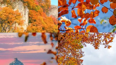 เขาชุ่ยหัว (Cuihuashan) น่ะดีมาก แต่คงไม่ไปซ้ำอีกแล้ว เพราะว่ามัน... — traveler post in เหว่ยหนาน