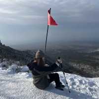 한라산의 꽃☃️❄️ 겨울의 영실코스⛰️