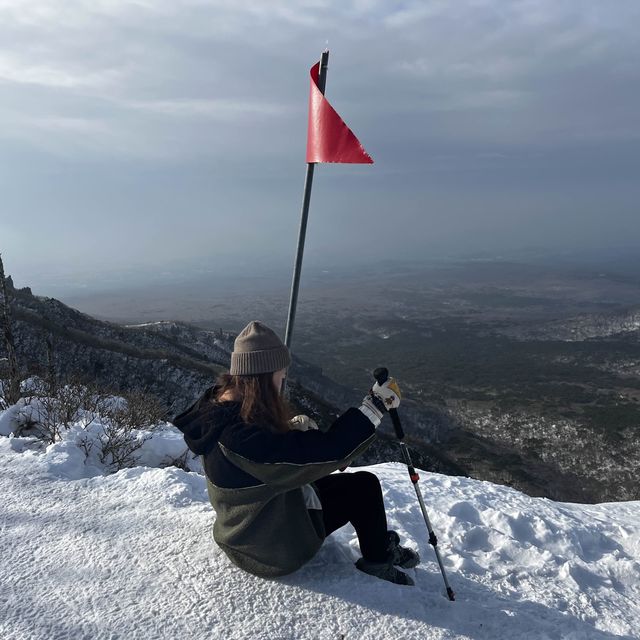 한라산의 꽃☃️❄️ 겨울의 영실코스⛰️