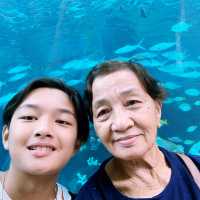 OCEAN PARK CEBU!