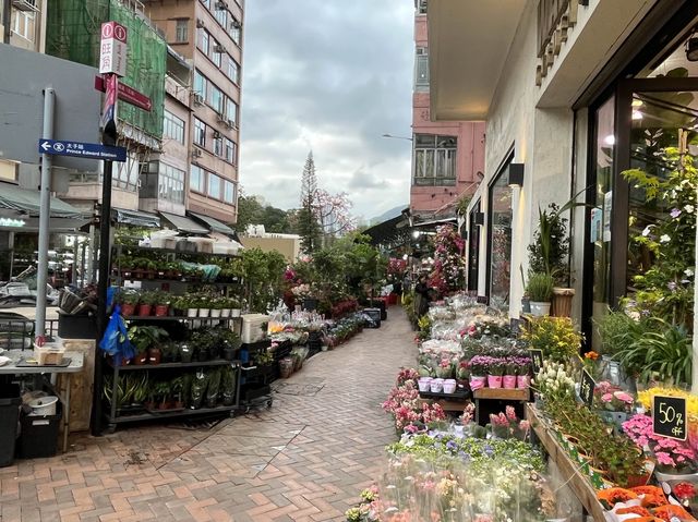 香港特色街道 @ 旺角花墟 香港特色街道 @ 旺角花墟