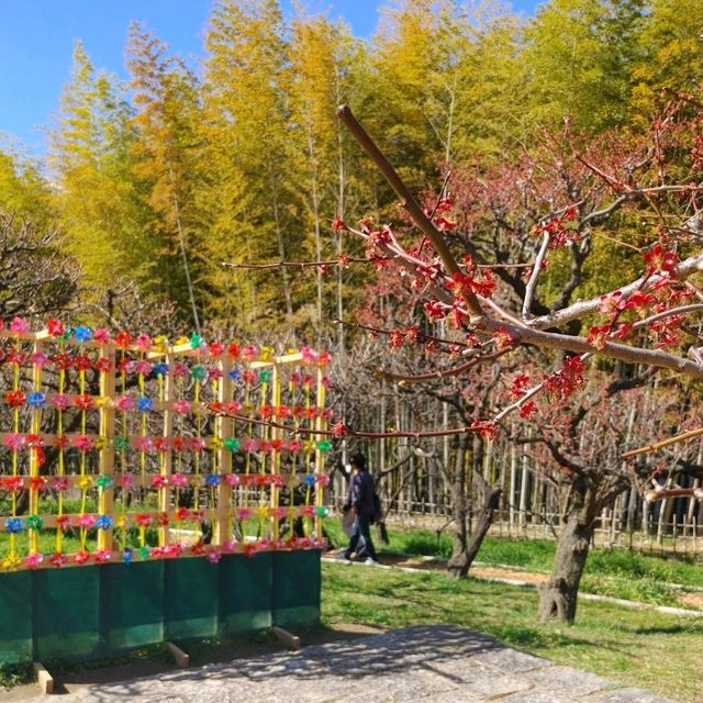 万博記念公園　太陽の塔ミュージアムショップと魚ジャパンフェス