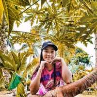 Mayon Black Lava Zipline Adventure