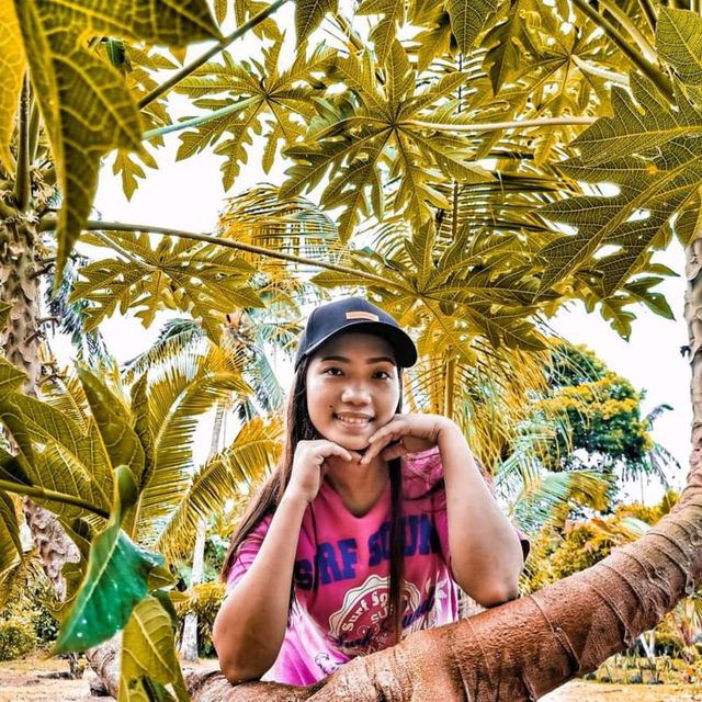 Mayon Black Lava Zipline Adventure
