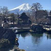 神秘的なパワースポット「忍野八海」