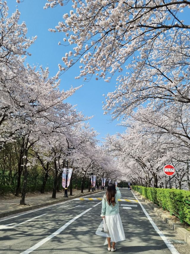 이월드 포토존 사진 남기기 꿀팁!🌸