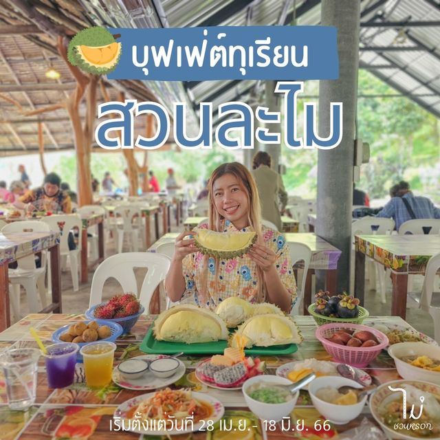 บุฟเฟ่ต์ทุเรียน สวนละไม / Suan Lamai  เปิดแล้วจ้าาา
