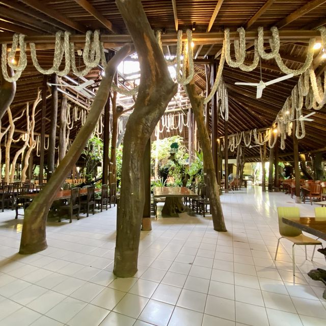 ทานข้าวกลางป่าใหญ่ ที่ร้านอาหารตำนานป่า ระยอง 🏕️