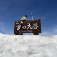 日本立山黑部登山之旅