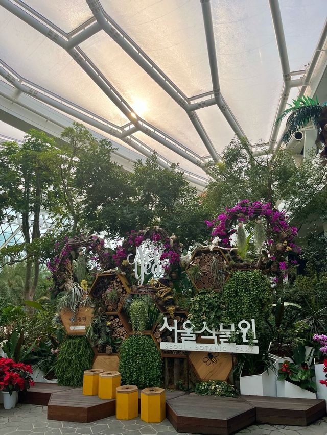 서울에서 실내데이트하기 좋은 서울식물원🌷❤️