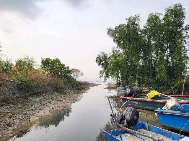打卡一流的流浮山景色