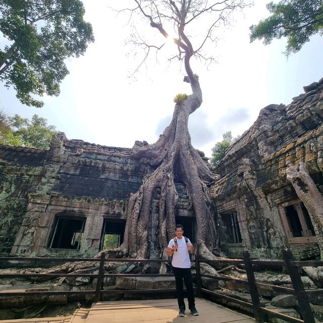 Ancient Temple - TaProhm Temple 