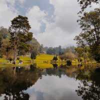 Cibodas Botanical Garden, Bogor