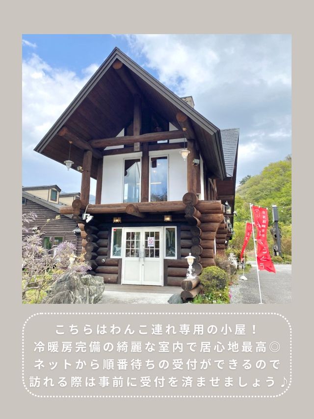 【山梨】愛犬と行ける海鮮ほうとう🦐