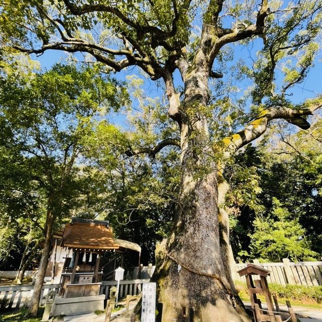 【兵庫県/伊弉諾神宮】国生み神話を辿るパワースポット