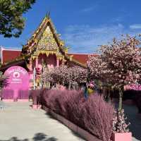 วัดยางใหญ่ ตาพรานบุญ จ.นครศรีธรรมราช