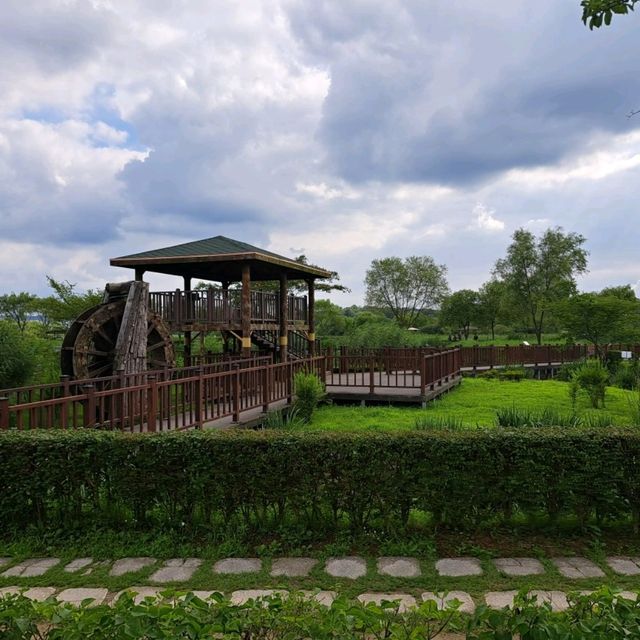 韓國景點😍義王鐵道自行車☺️40分鐘邊踩單車邊睇靚風景📸