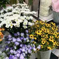 수원역 꽃집 추천, 꽃내음 가득해요💐 ”산나리플라워“