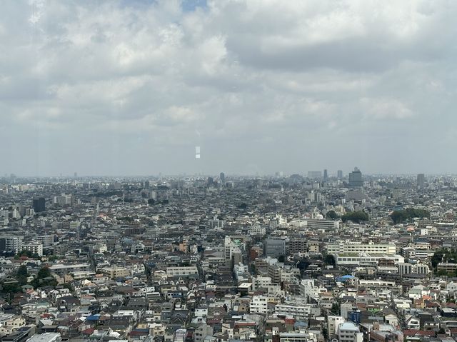 東京・三軒茶屋。無料で地上126mから都心や東京タワーの夜景も楽しめる『スカイキャロット展望ロビー』