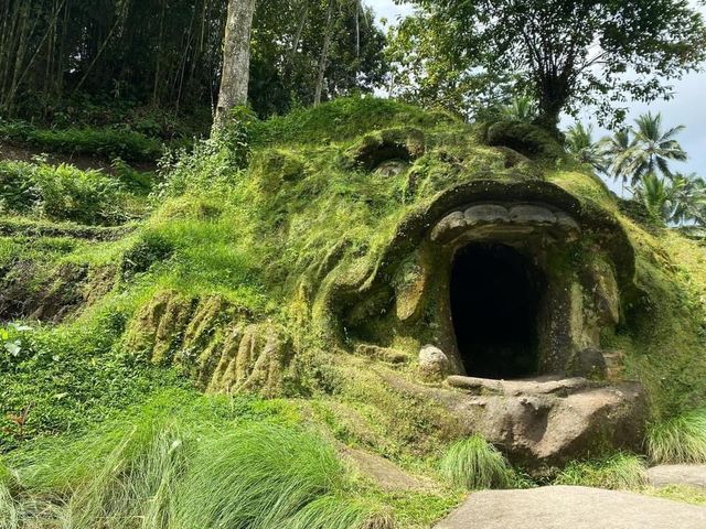 Gorilla in Bali 🐒