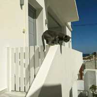 PICTURESQUE NAXOS ISLAND, GREECE!