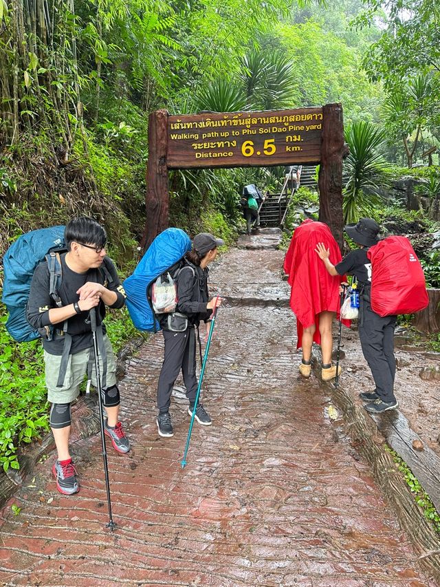 อุทยานแห่งชาติภูสอยดาว | Phu soi dao National Park