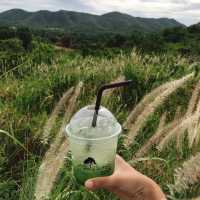 ต้นไม้ใบหญ้าคาเฟ่ แก่งกระจาน จ.เพชรบุรี 🍃