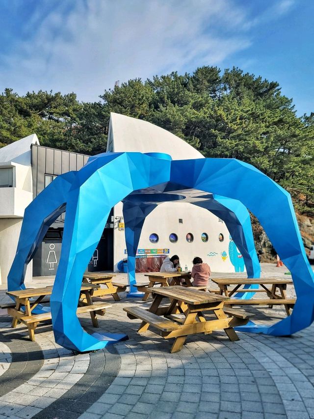 언제가도 멋진 오션뷰 바람의 언덕✨️