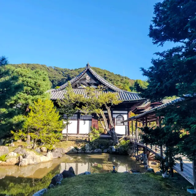 일본여행 교토 고다이지 탐방 