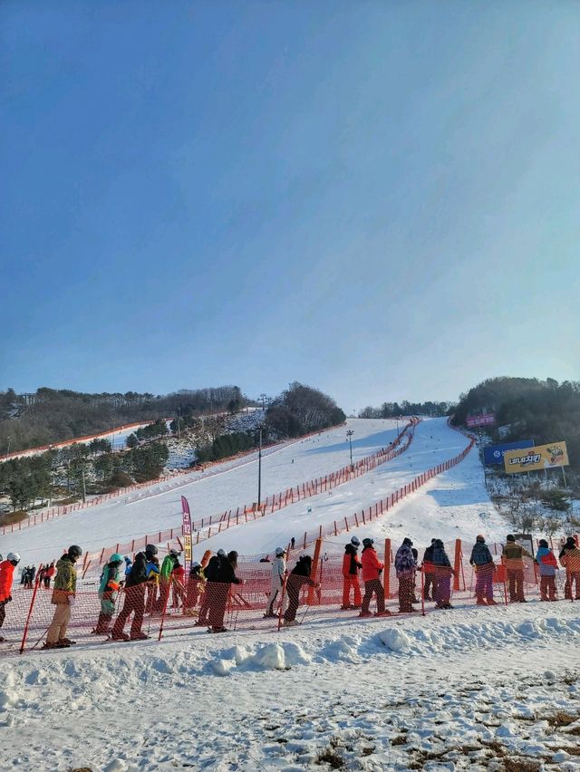 겨울 최고의 핫플! 홍천 비발디파크⛷️🏂