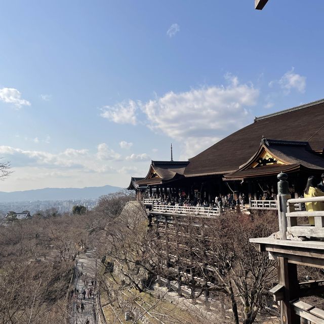 京都最出名清水寺‼️遊客必到之選😌