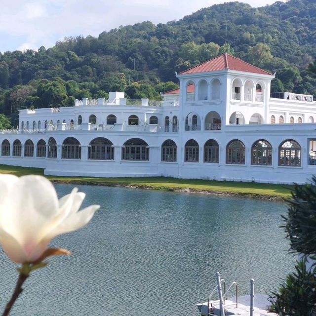 欣賞浪漫鬱金香花海
