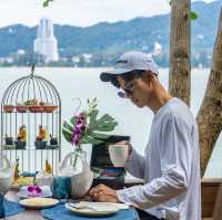 Tree Pods , Afternoon Tea on Tree 
