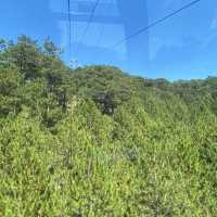 Cable car at Robin Hill, Dalat 