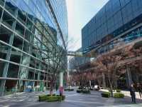 Central Tokyo metropolitan, Marunouchi
