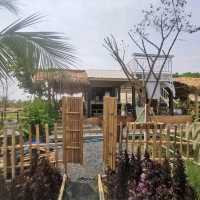 หลบร้อน​ มาผ่อนคลายที่ฟาร์มคาเฟ่​ บุรีรัมย์