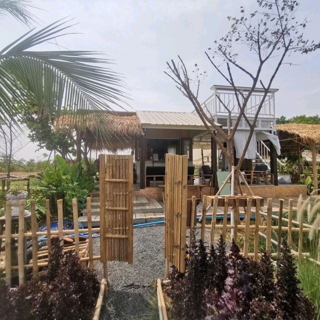 หลบร้อน​ มาผ่อนคลายที่ฟาร์มคาเฟ่​ บุรีรัมย์