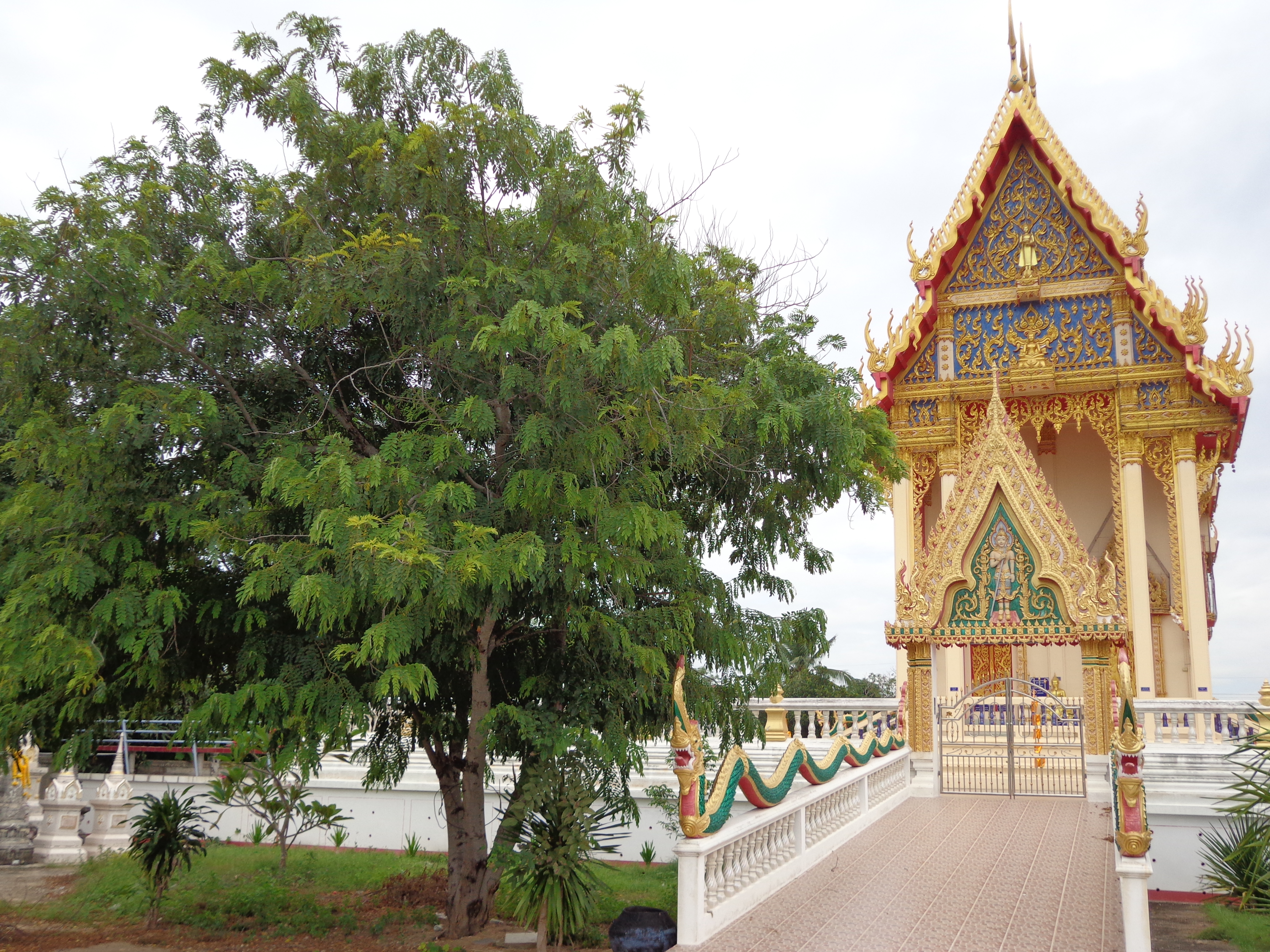Escursioni a Chainat Esperienza indimenticabili Thai Unika