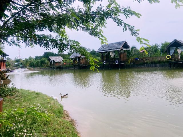 The Lamp Lamphun