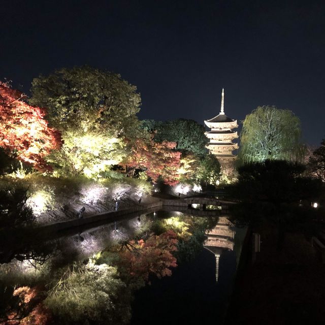 京都・秋のライトアップ東寺