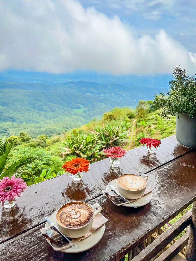 ยอดดอยม่อนแจ่ม coffee ⛰️☕️🪻🌿