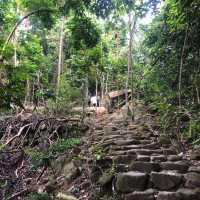 Conquer the Trails of Bukit Mertajam Hills