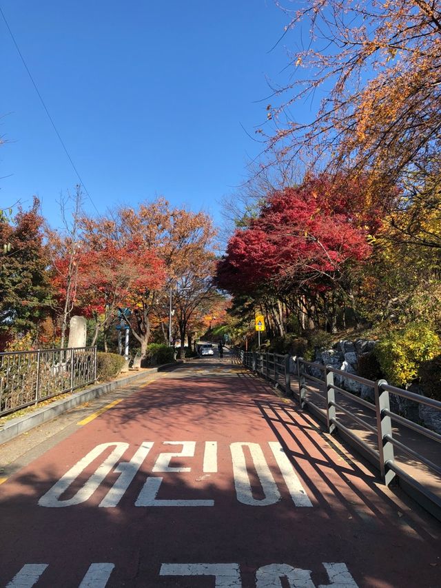  cute cafes + picturesque view in Seoul