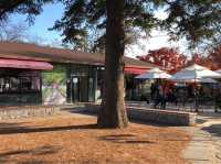 the best place for healing-cation near Seoul 