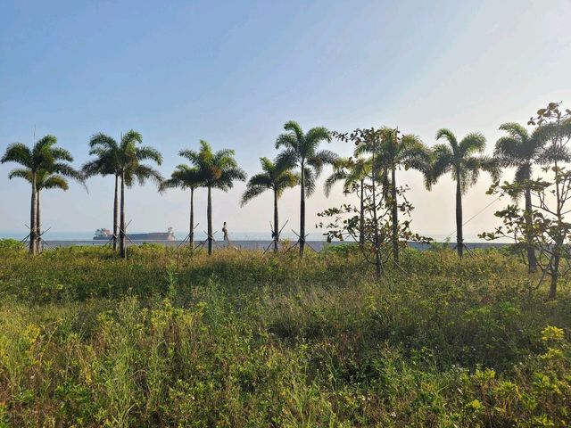 【港版邁阿密~屯赤公園🌴】