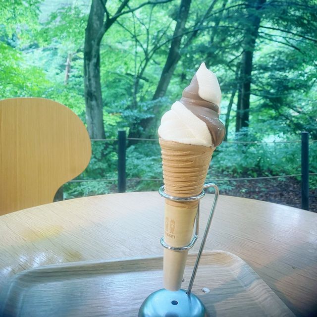 【群馬県・四万温泉】森のカフェ　Koseki