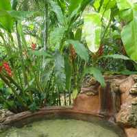 River Tales แก่งกระจาน