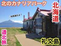 北海道　北海道観光　礼文島で絶対外せない観光スポット　北のカナリアパークに行ってきた！　