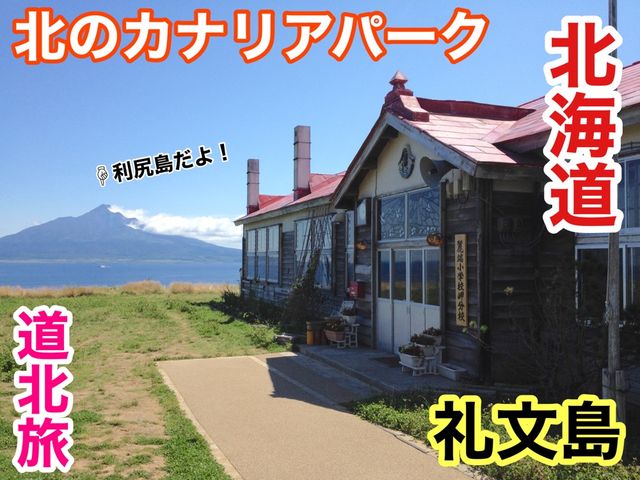 北海道　北海道観光　礼文島で絶対外せない観光スポット　北のカナリアパークに行ってきた！　