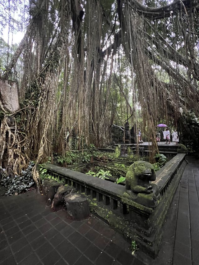 Monkey Forest In Ubud Is Instagrammable⁉️🐒
